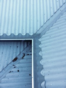 4b - GumLeaf Stainless Steel on a Corrugated Roof - AFTER